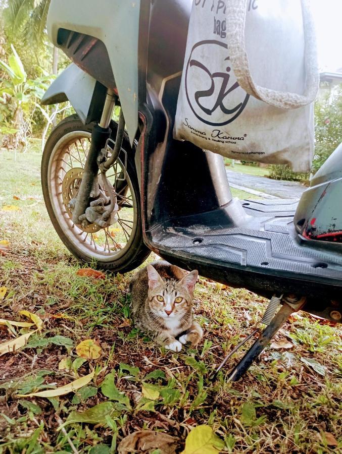 Tropical Koh Phangan Дом отдыха